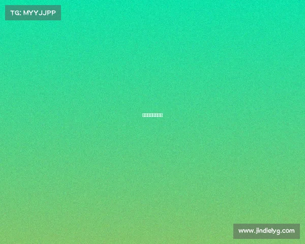 篮球赛事都有什么